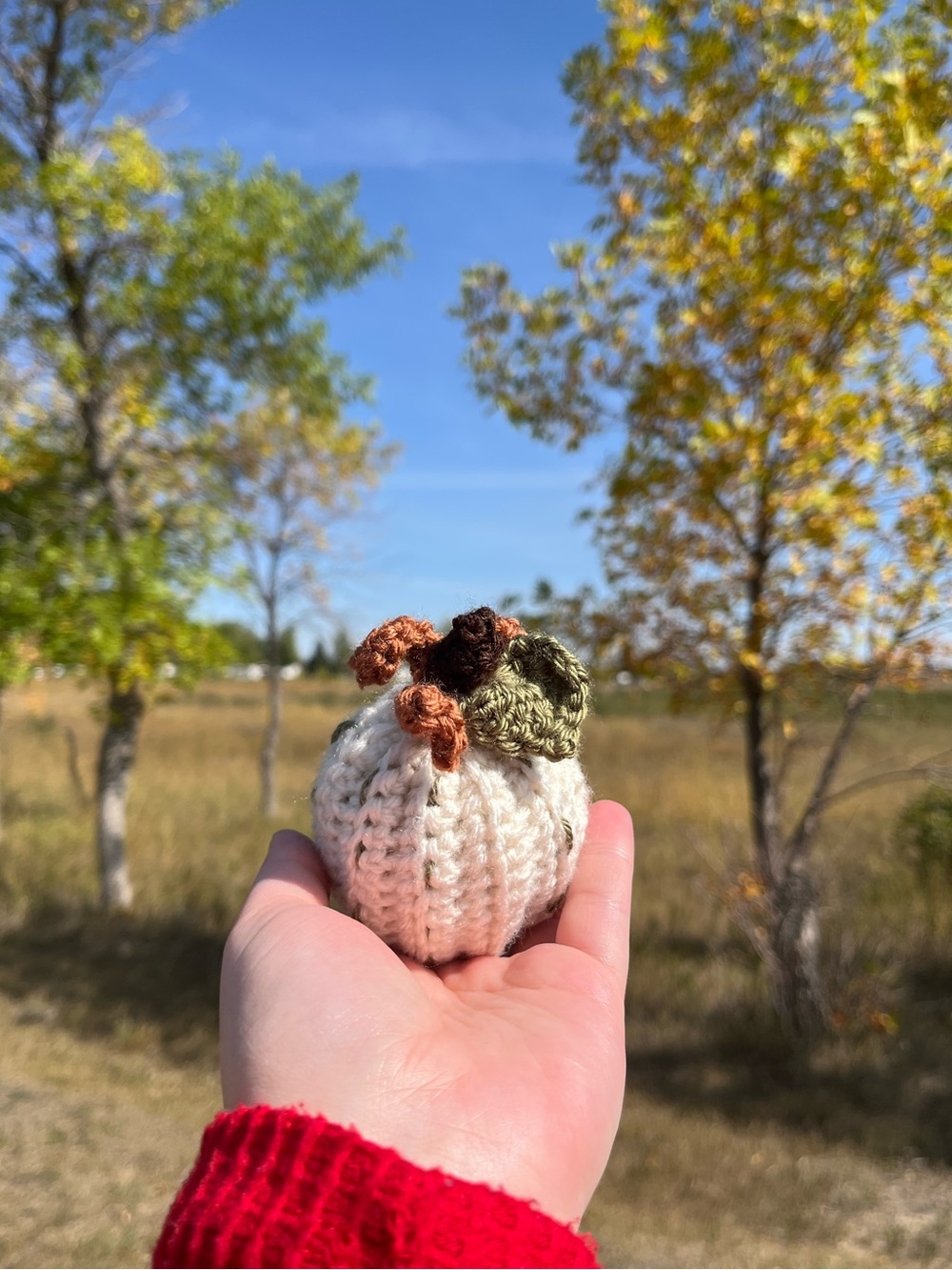 Handmade Pumpkin Decor 🎃🍁🍂 - Picture 2 of 7